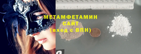 шишки Медвежьегорск