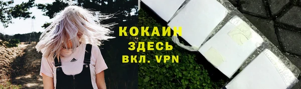 шишки Медвежьегорск