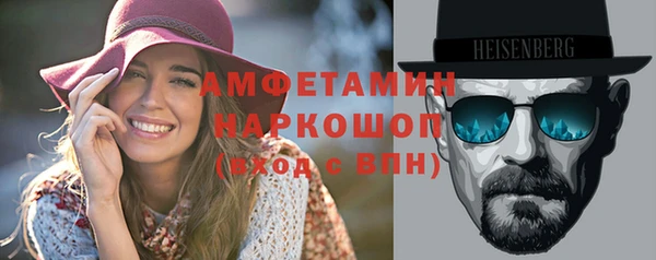 шишки Медвежьегорск