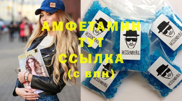 шишки Медвежьегорск