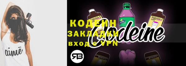 шишки Медвежьегорск
