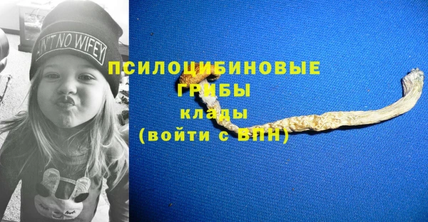 шишки Медвежьегорск