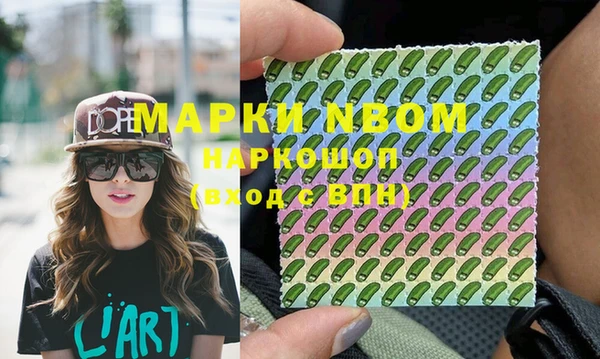 шишки Медвежьегорск