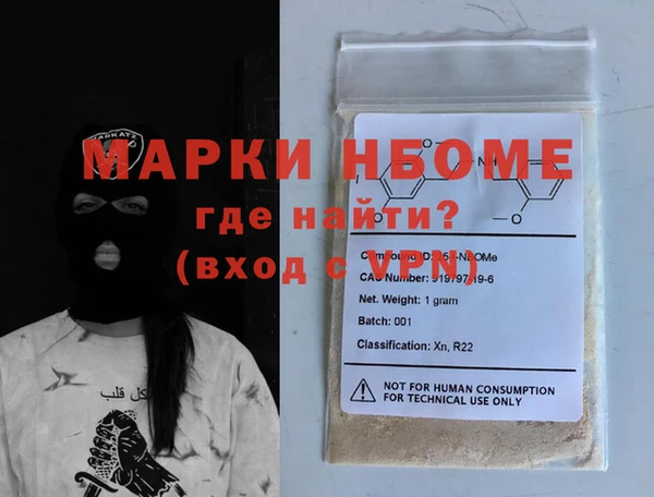 шишки Медвежьегорск